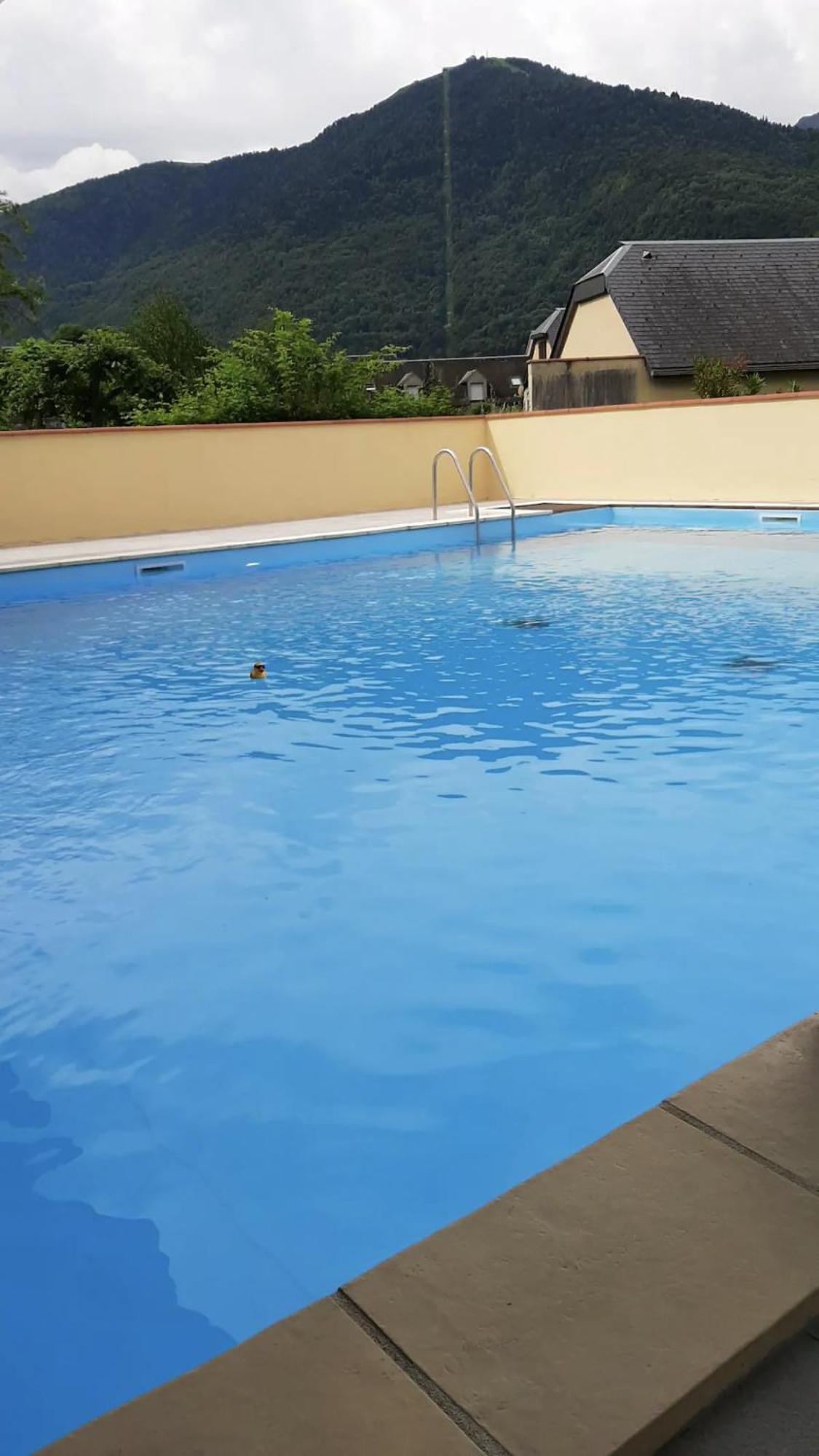 Appart T 3 Bagneres-De-Luchon Vue Montagne - Piscine Mi Juin Exterior foto
